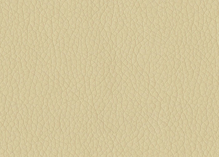 parchment-605